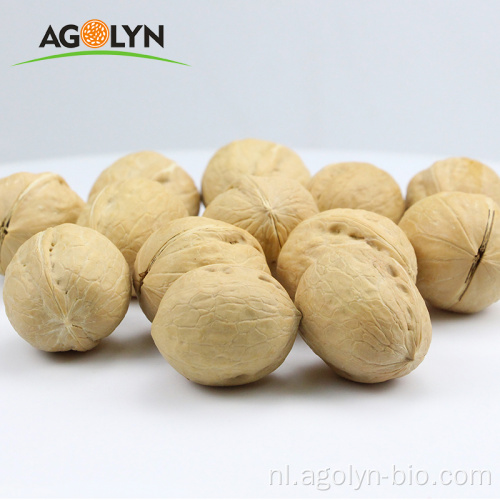 Topkwaliteit bulk rauwe Xinjiang Walnut In Shell